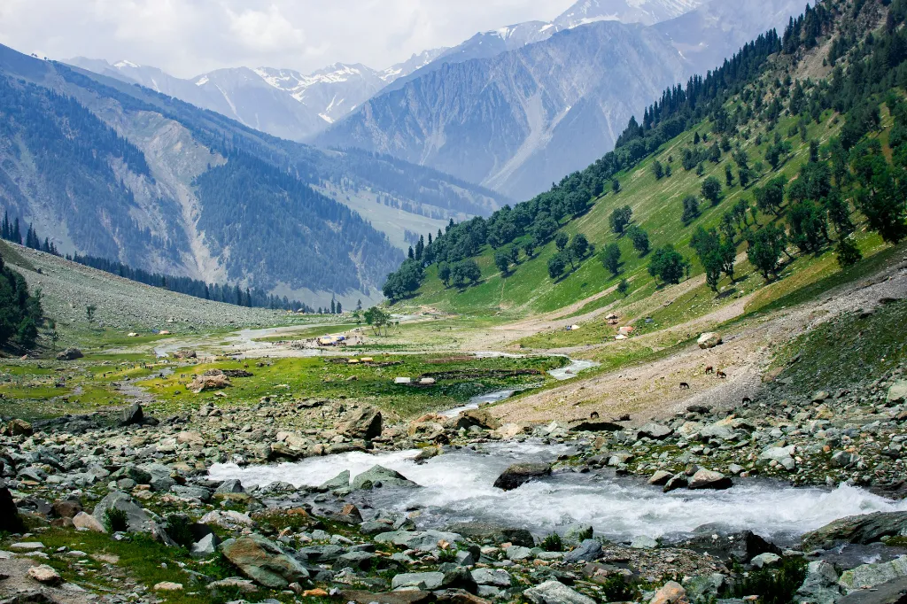unsplash_wXTa0Wnsjnw_kASHmir.jpg.jpg.jpg.jpg.jpg.webp