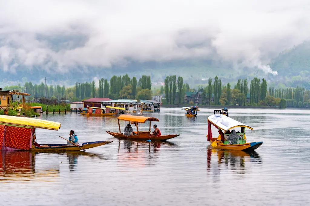 unsplash_XHG0uFAlEGM_kASHmir.jpg.webp