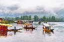 unsplash_XHG0uFAlEGM_kASHmir.jpg.webp