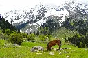 unsplash_H8dcf-v98mA_kASHmir.webp